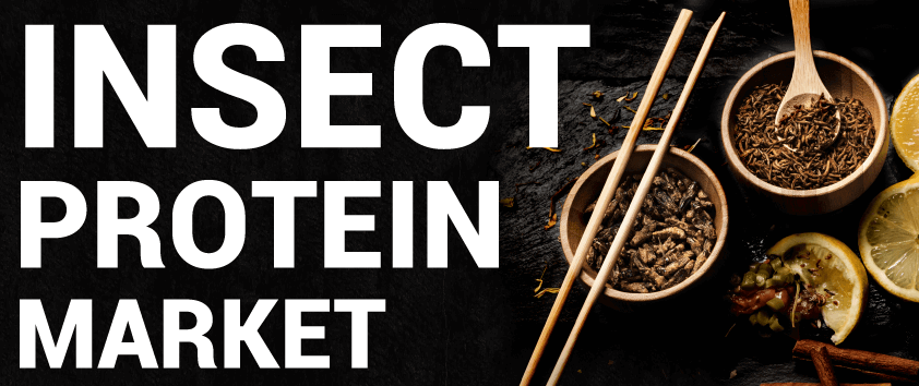 Insect-based Protein Market
