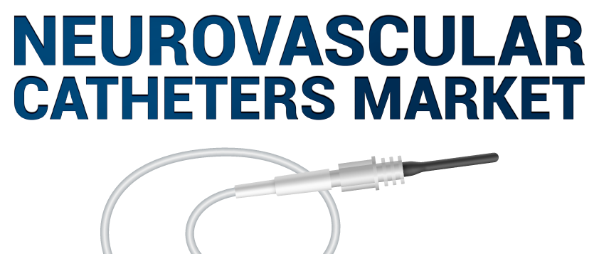 Neurovascular Catheters Market