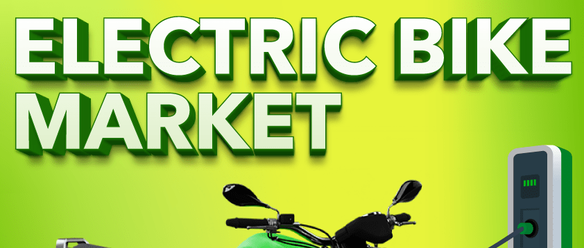 Electric E Bike Market