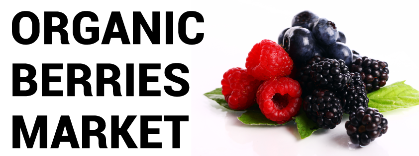 Organic Berries Market 