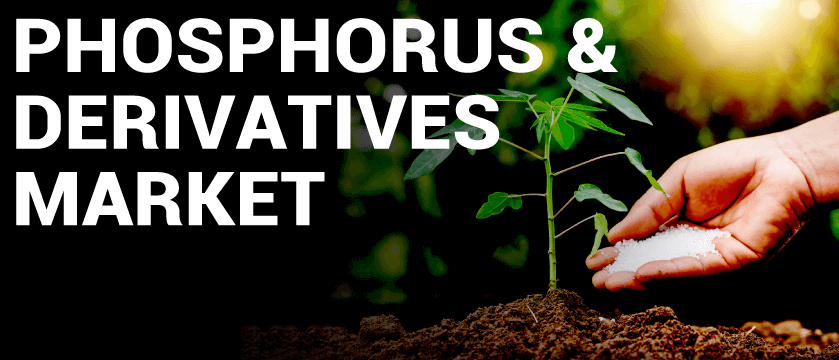Phosphorus and Derivatives Market
