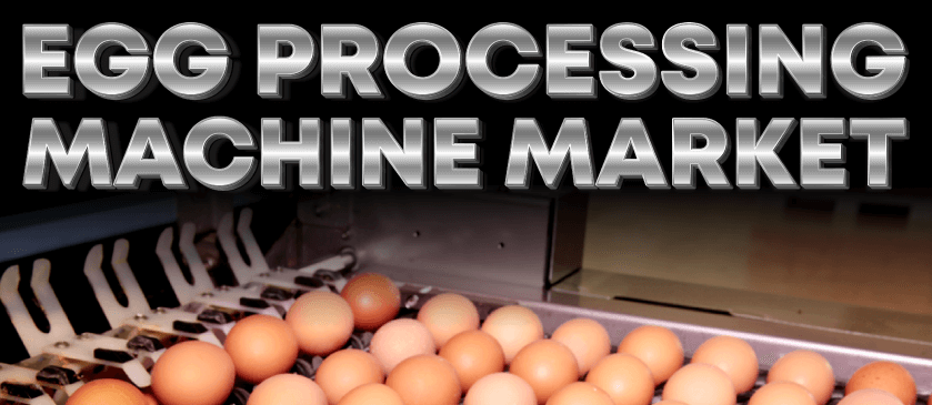 Markt für Eierverarbeitungsmaschinen